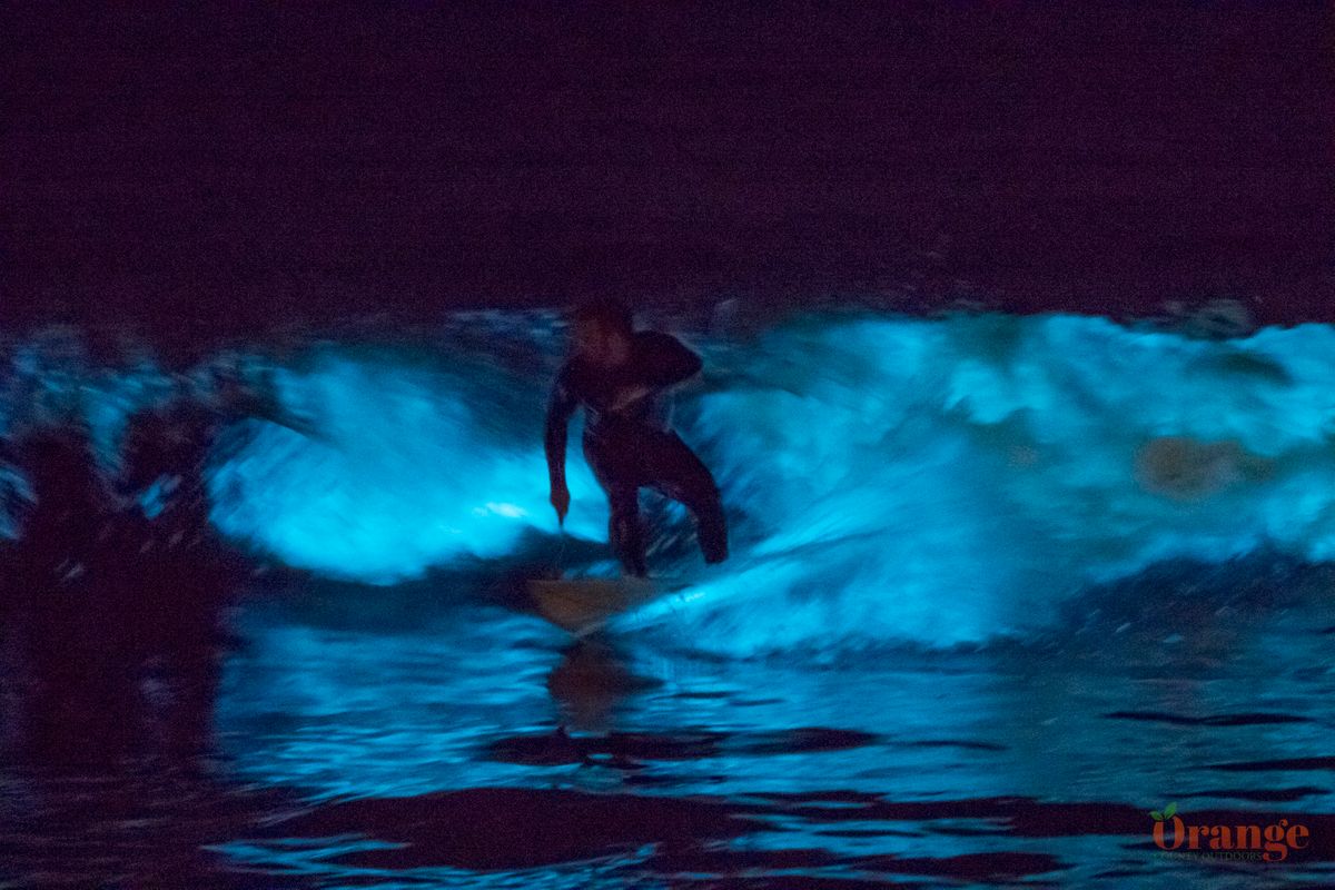 Bioluminescence is back for 2023 Orange County Outdoors